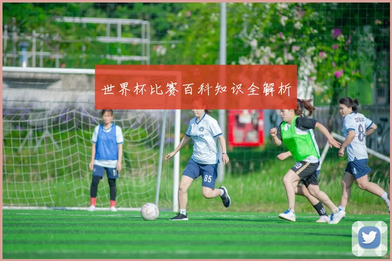 世界杯比赛百科知识全解析