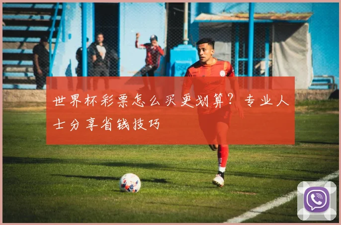 世界杯彩票怎么买更划算？专业人士分享省钱技巧