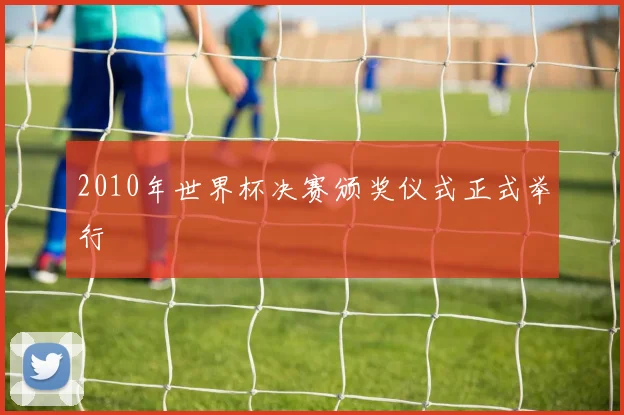 2010年世界杯决赛颁奖仪式正式举行