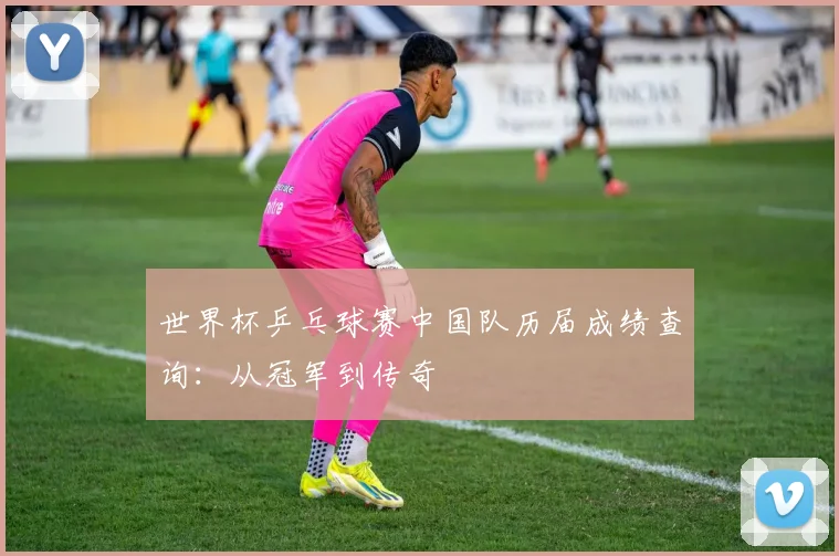 世界杯乒乓球赛中国队历届成绩查询：从冠军到传奇