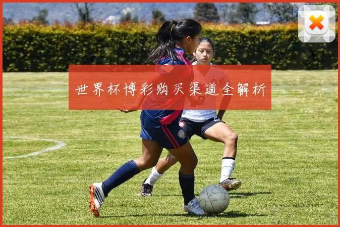 世界杯博彩购买渠道全解析