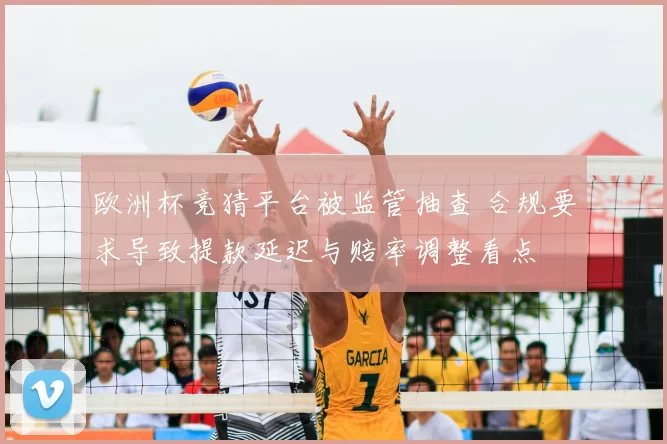 欧洲杯竞猜平台被监管抽查 合规要求导致提款延迟与赔率调整看点